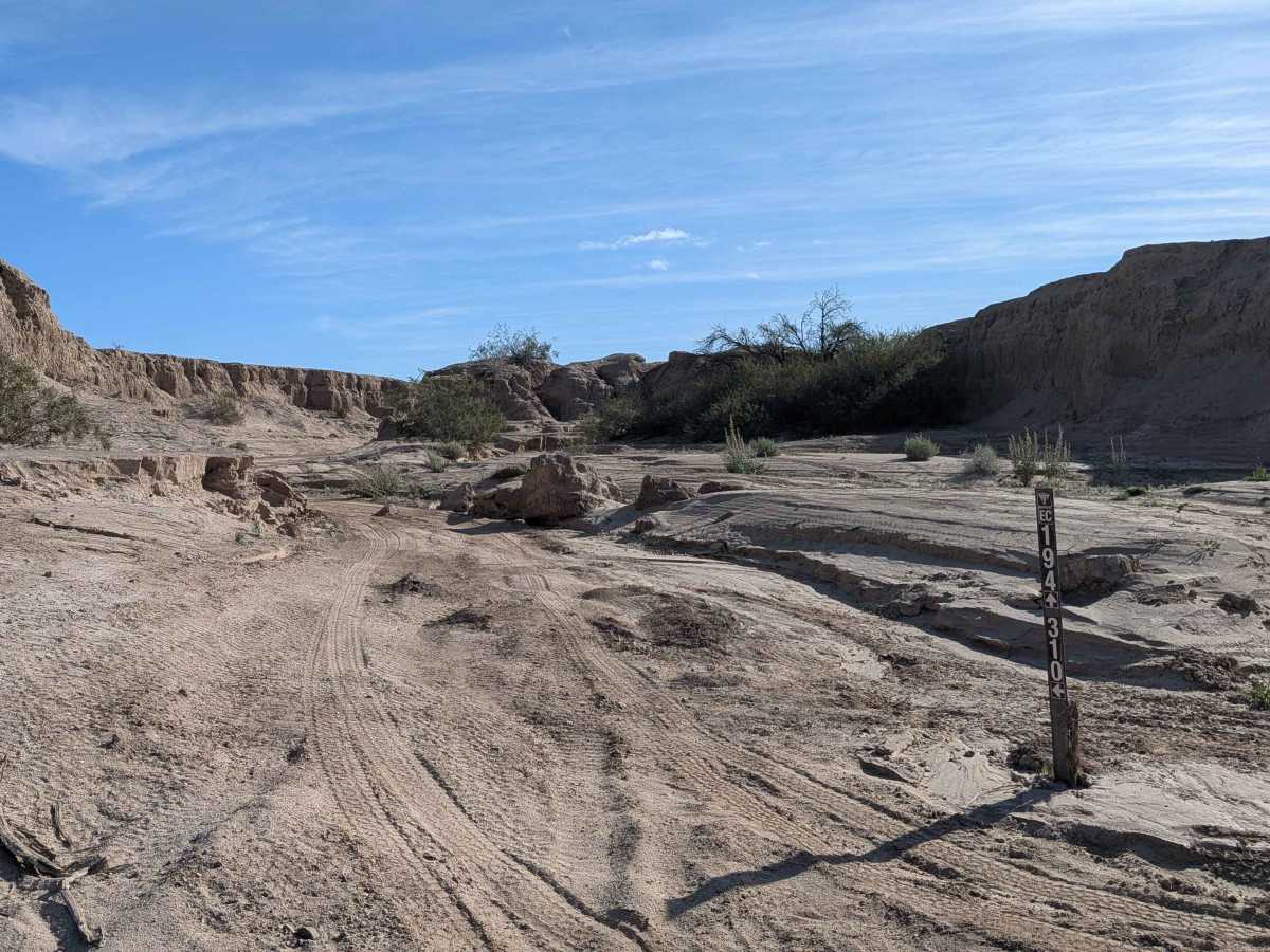 BLM 310 photo 4