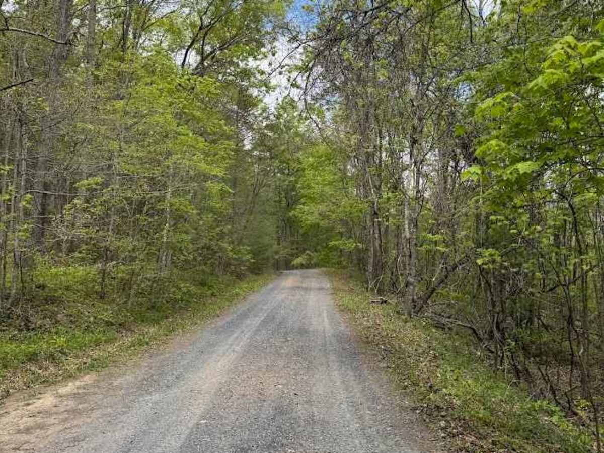 Clayton Mill Road trail photo