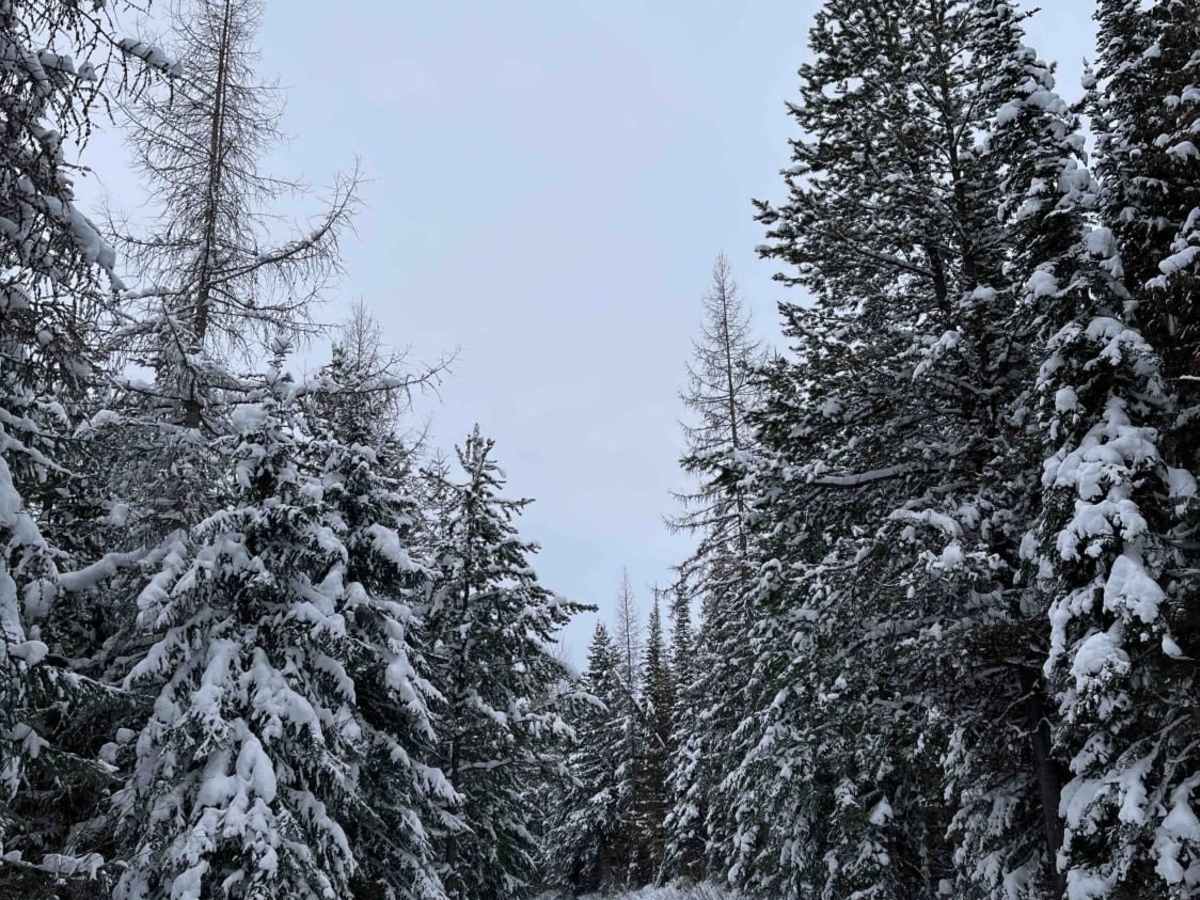 Spire Trail photo 5