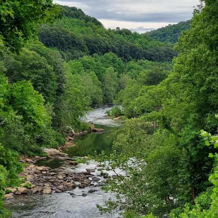 Cool summer day. Near Great Allegheny Passage