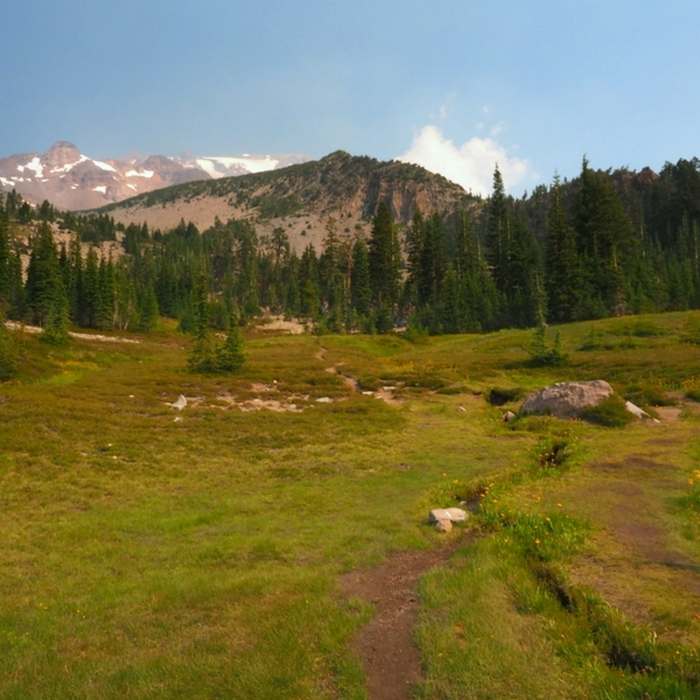 South Gate Meadows. Near South Gate Meadows Trail