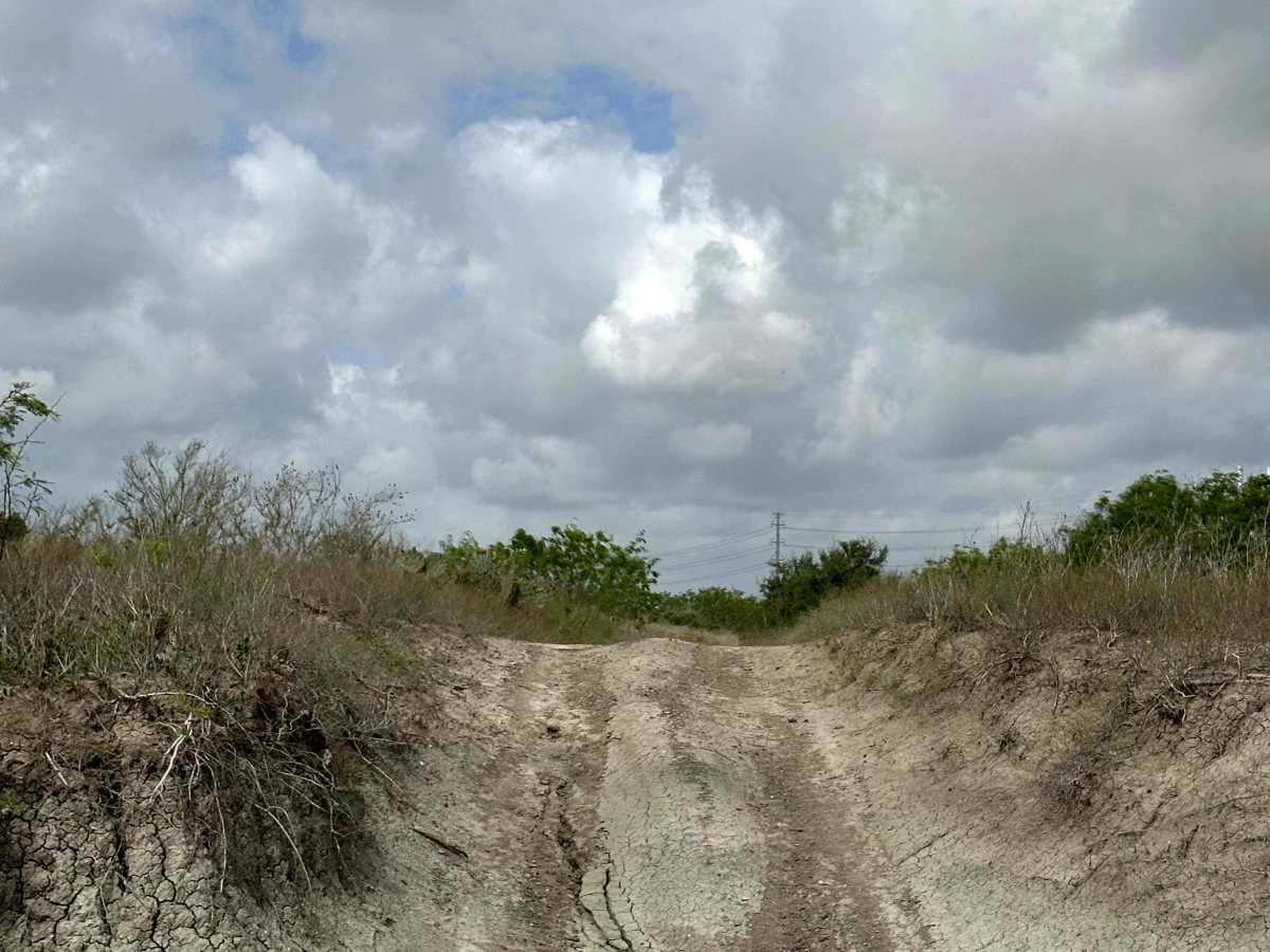 Watchtower photo 2