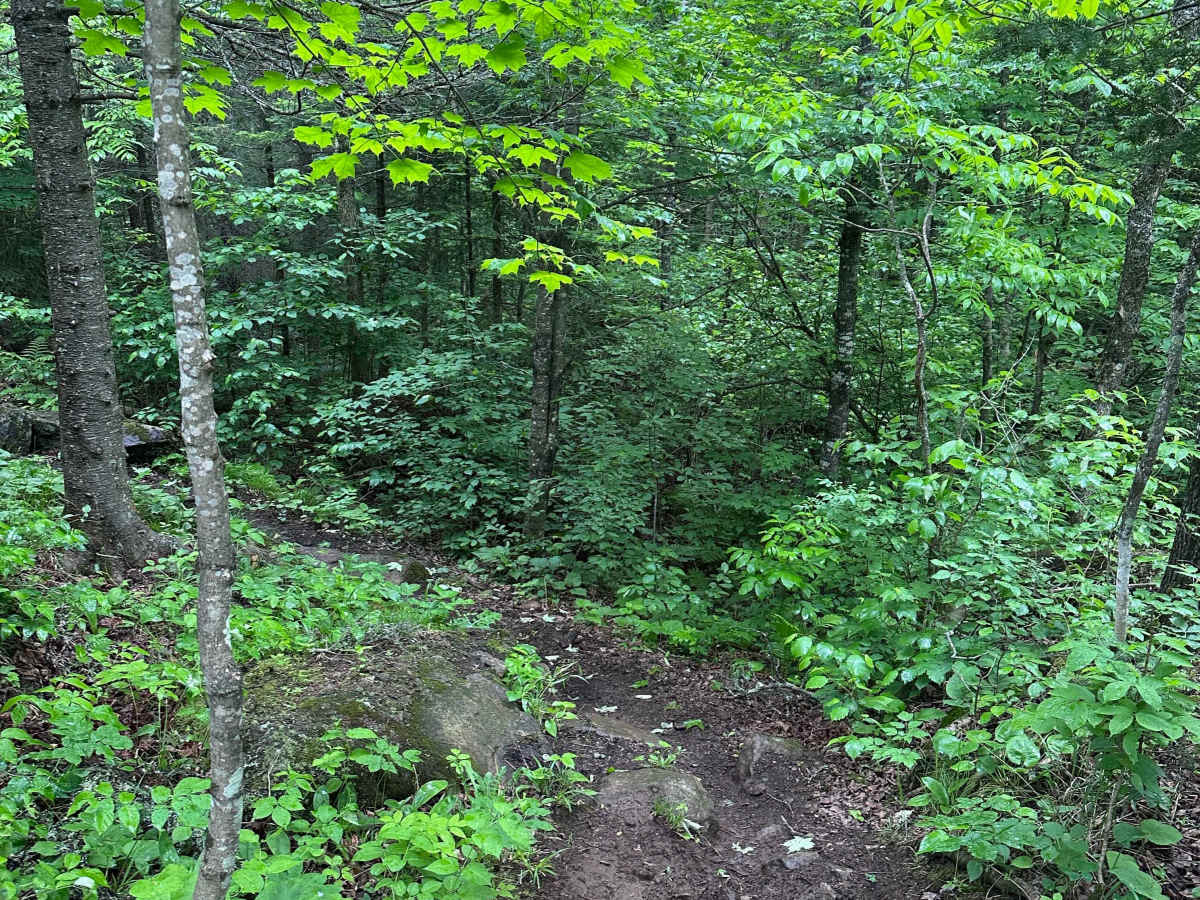 Alger Grade - Trail 6 photo 3