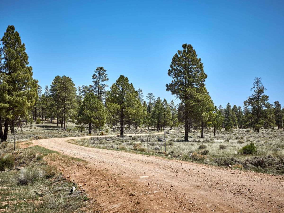 Halfway Tank Road trail photo