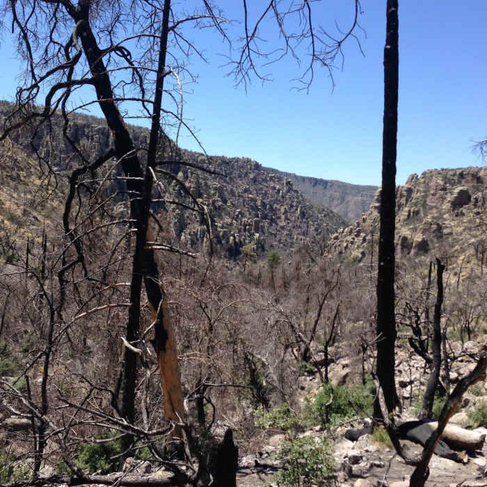 Near Chiricahua Natural Bridge