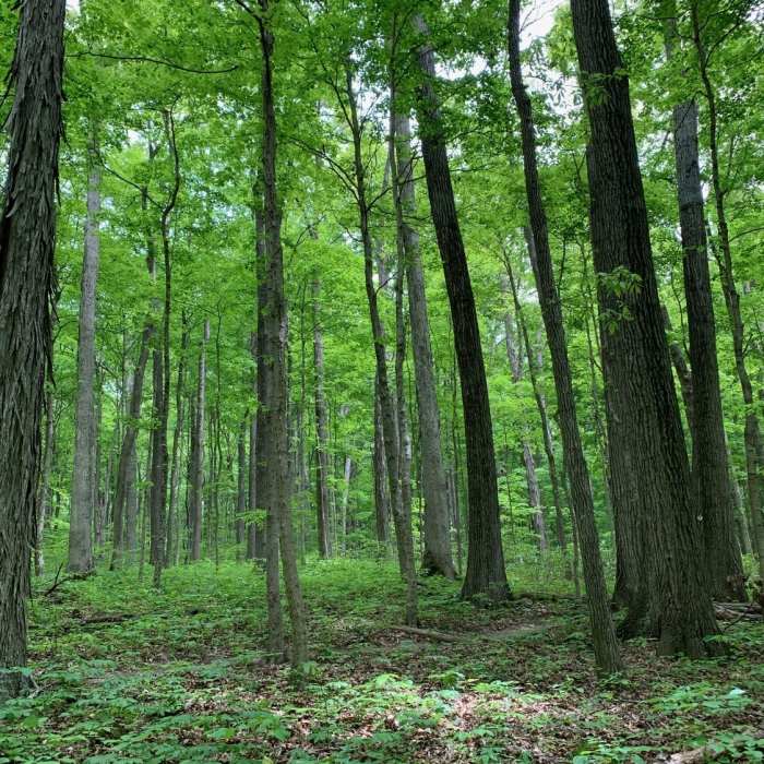 Near Porter West Preserve