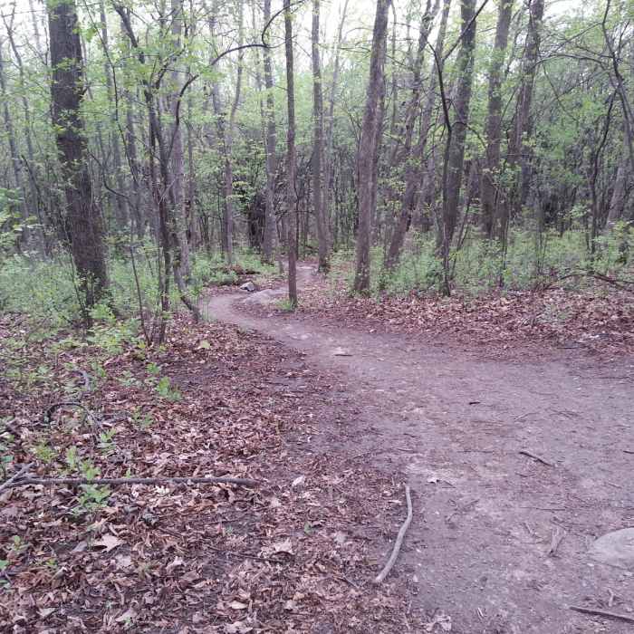 Twisty downhill Near Maybury State Park