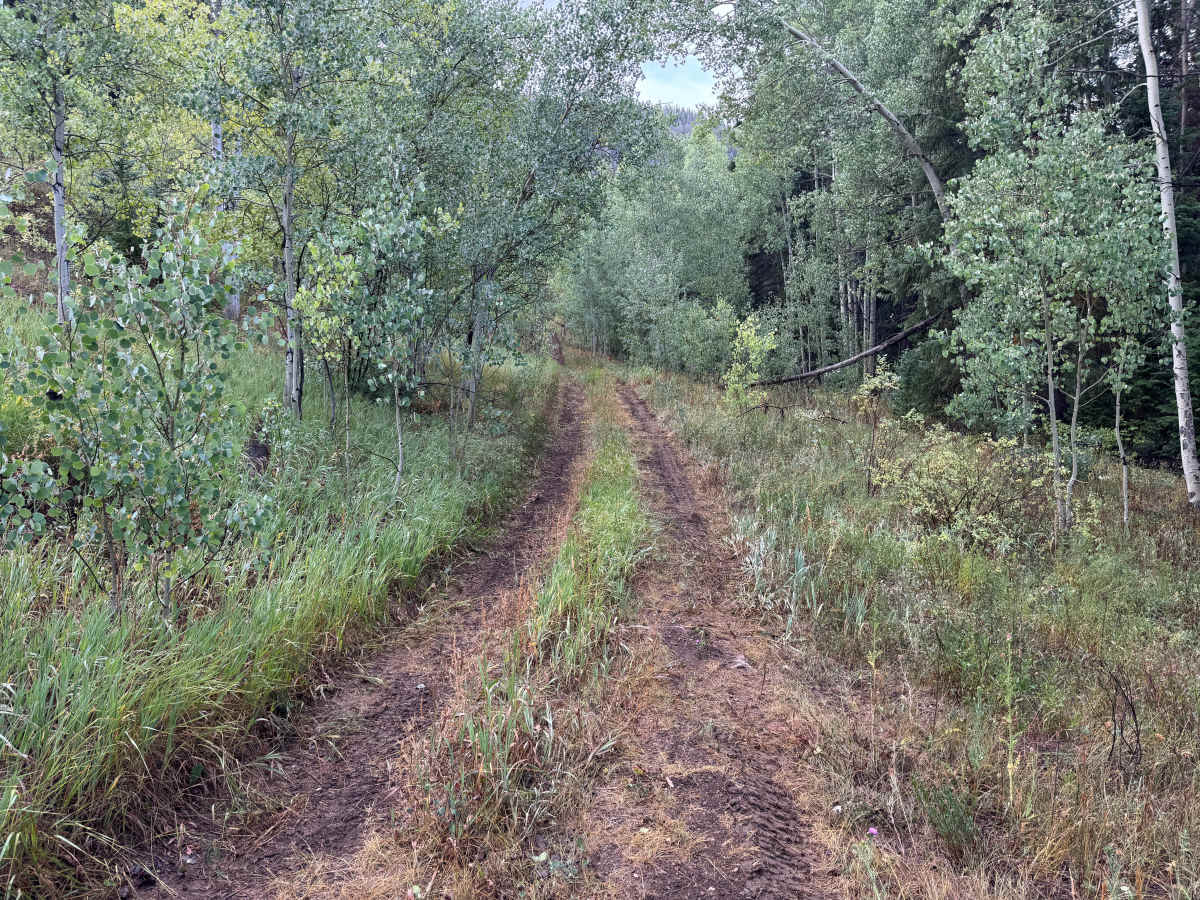 Upper Deadman Road photo 5