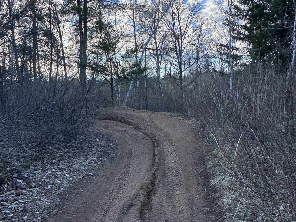 Zalesky Lake Trail photo 2