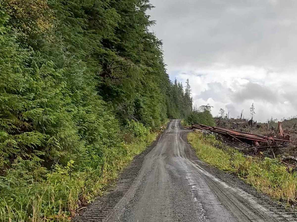 Shelter Cove Road (Section 2) photo 6