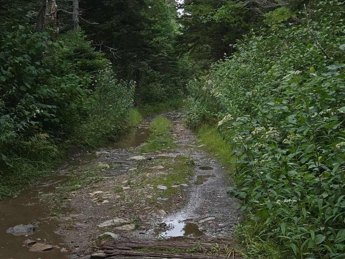 Stuart Mountain Extension  photo 4