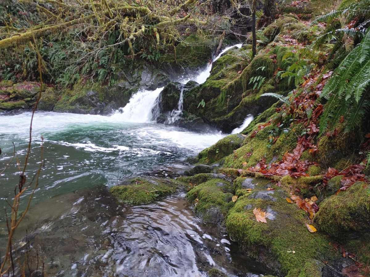 Graves Creek Camp Trail trail photo