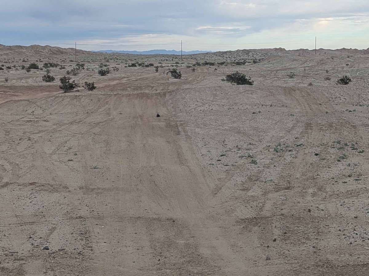 Wide Open Spaces photo 4