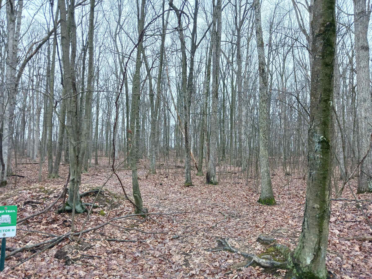 OHV 45 - Rock Run Recreation Area photo 2