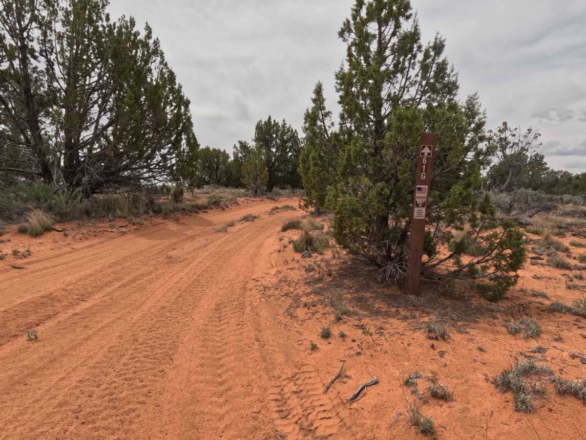 BLM 61G photo 2