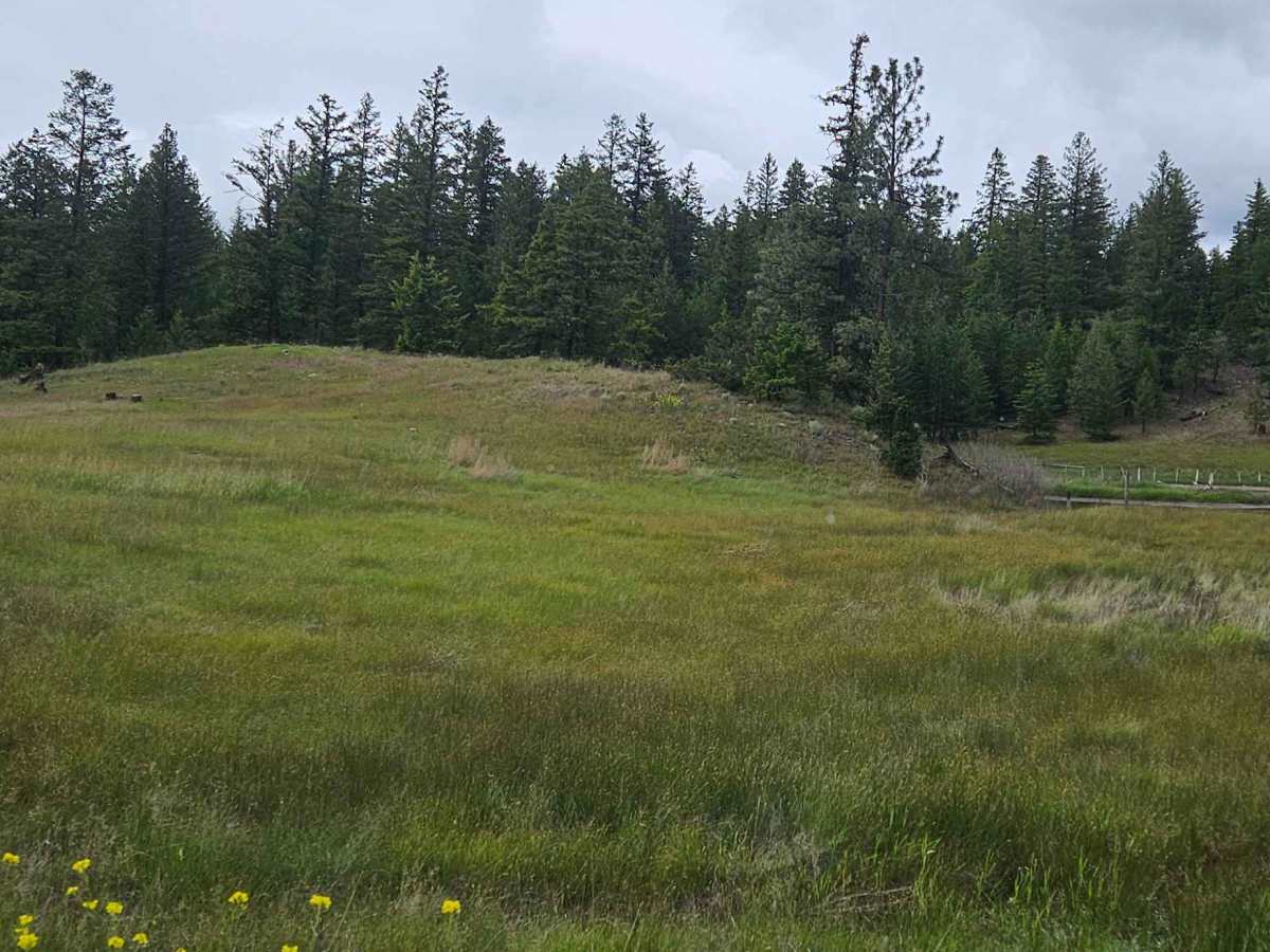 Scuitto Lake Road photo 2