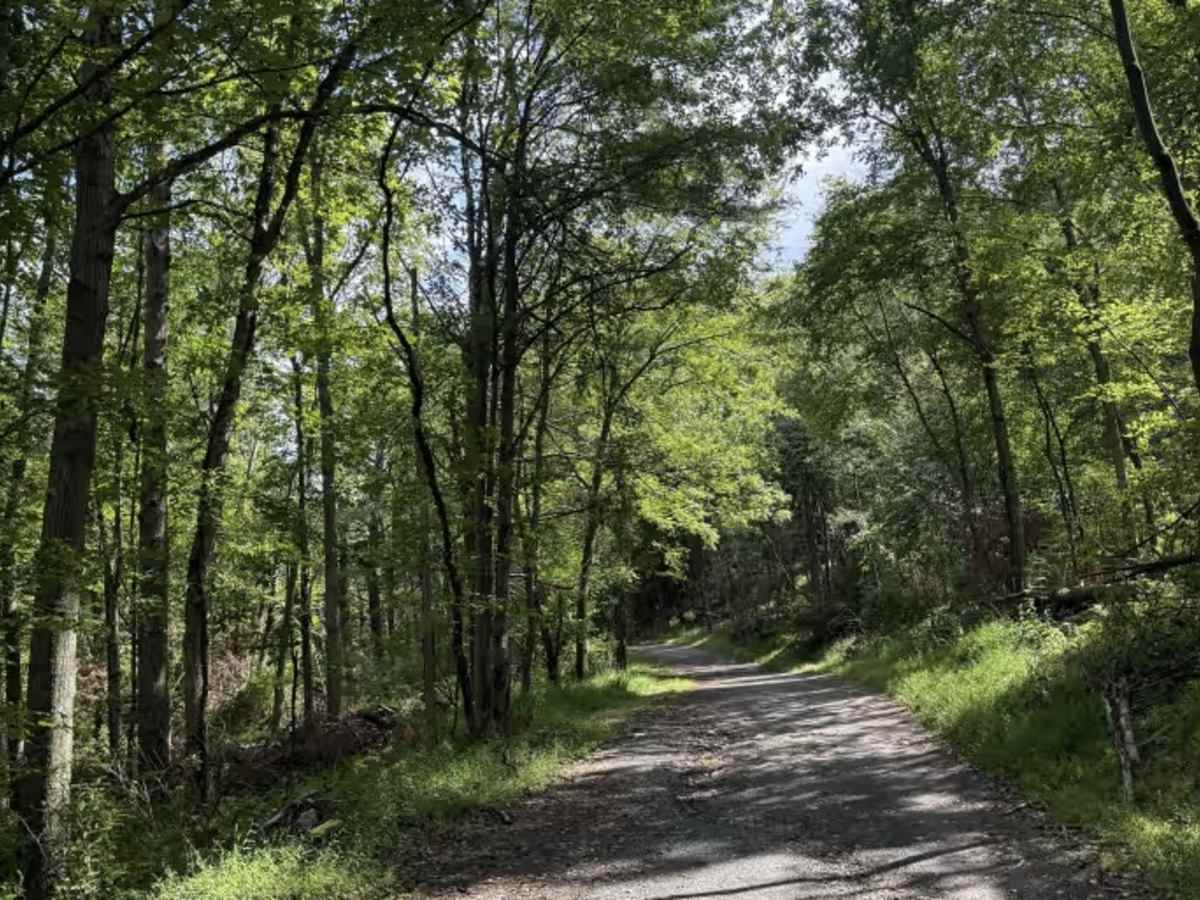 Sand Quarry Road photo 5