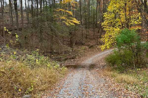 Mitchell Knob Trail