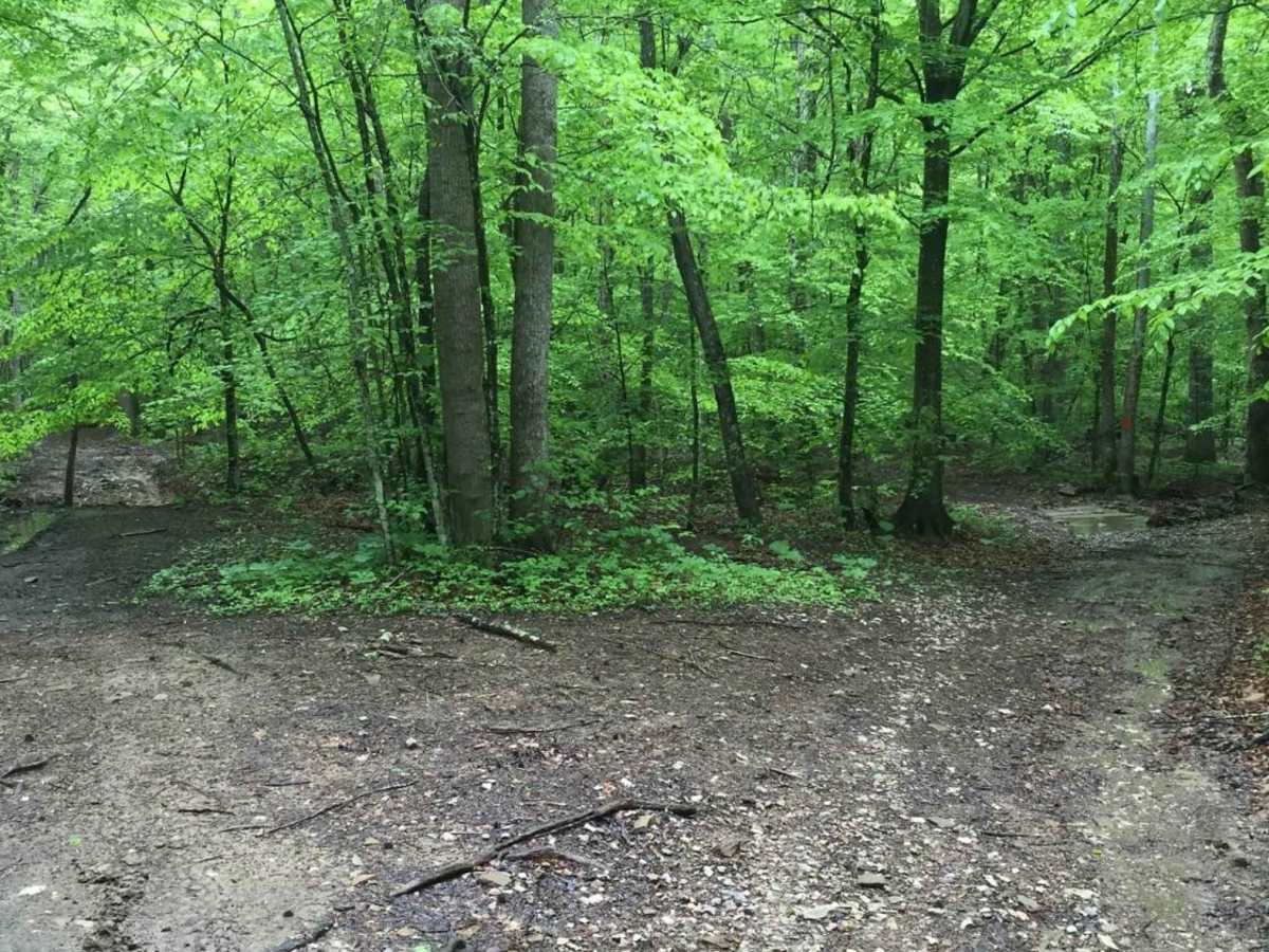 White Sulphur ATV Loop to Overlook photo 3