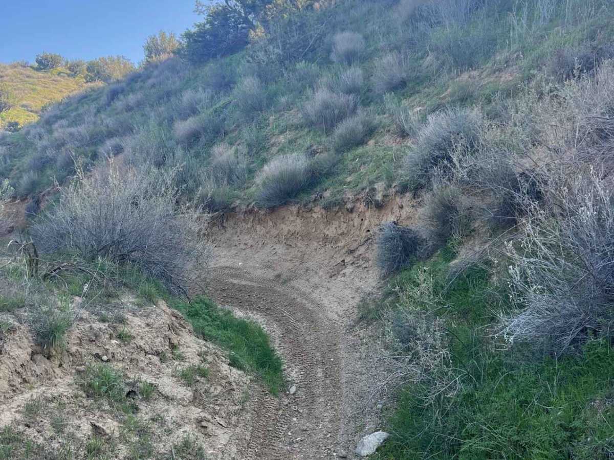 Trail 29 photo 6