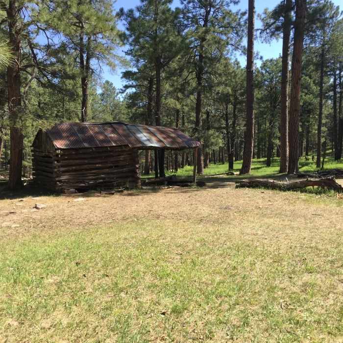 Near Cabin Loop Trail