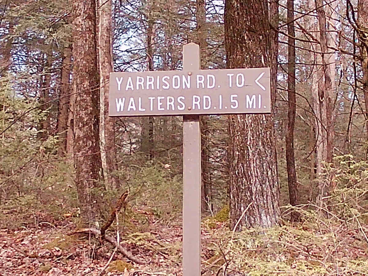Yarison Road trail photo
