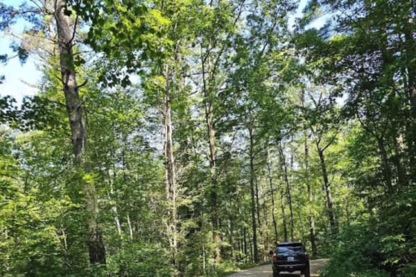 Cavender Gap - FS 236