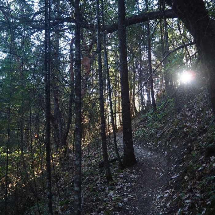 Near Boulder Trail
