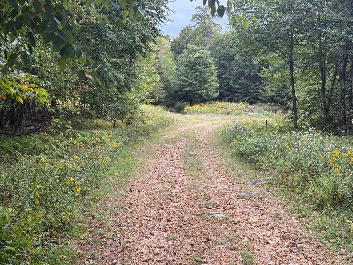 FS 144A photo 2