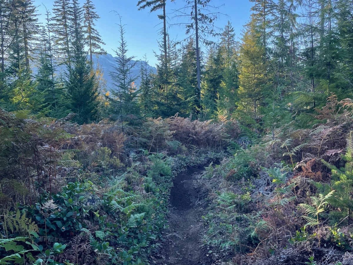 Hayden's Trail trail photo