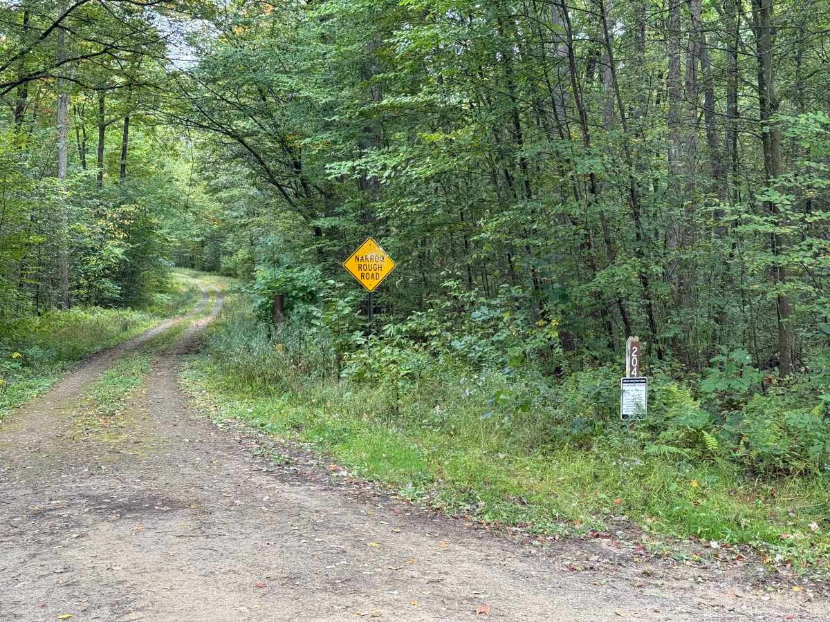 Rob's Knob - FS 204 trail photo