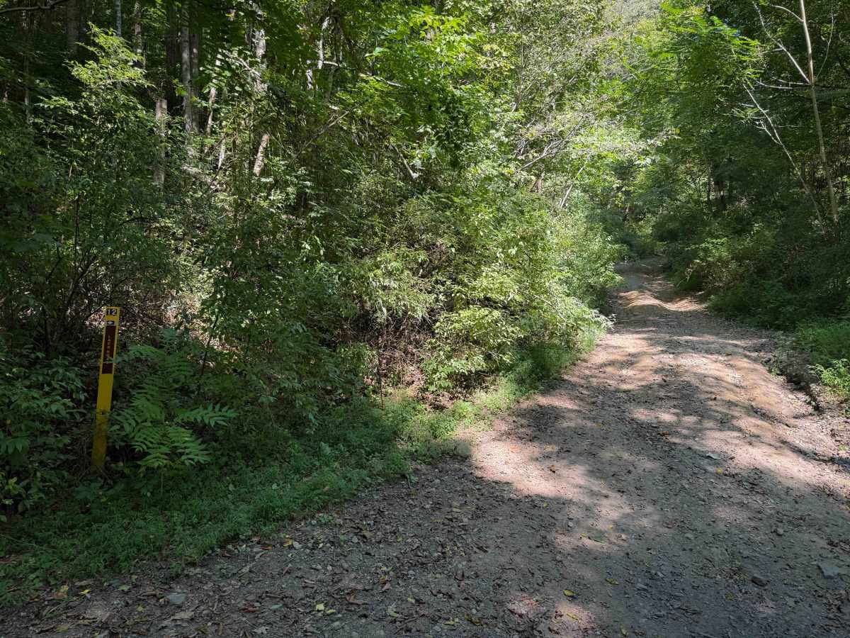 Laco Road 12   photo 2