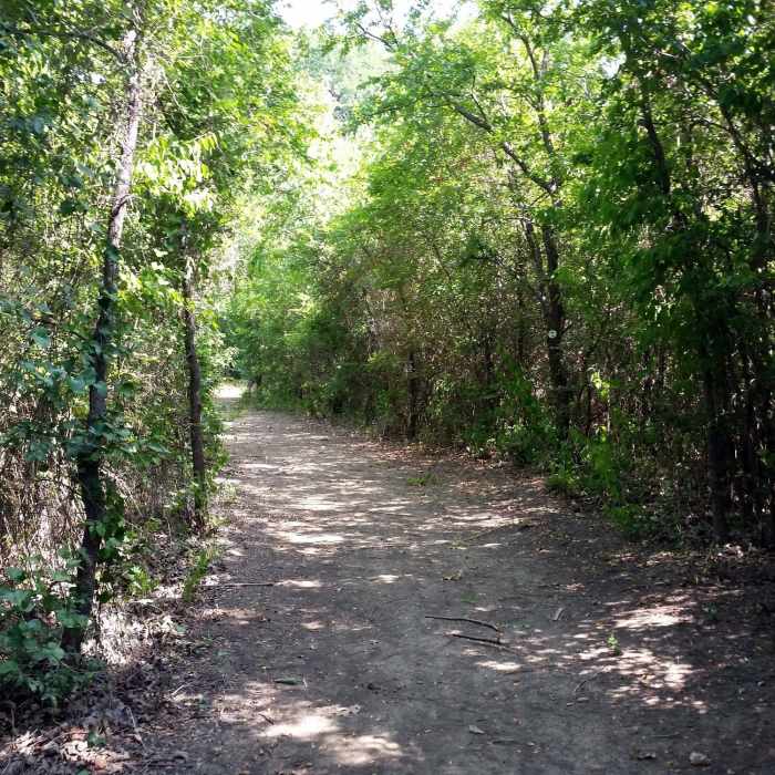River Trail Loop through upland forest Near Campion Trail (North)