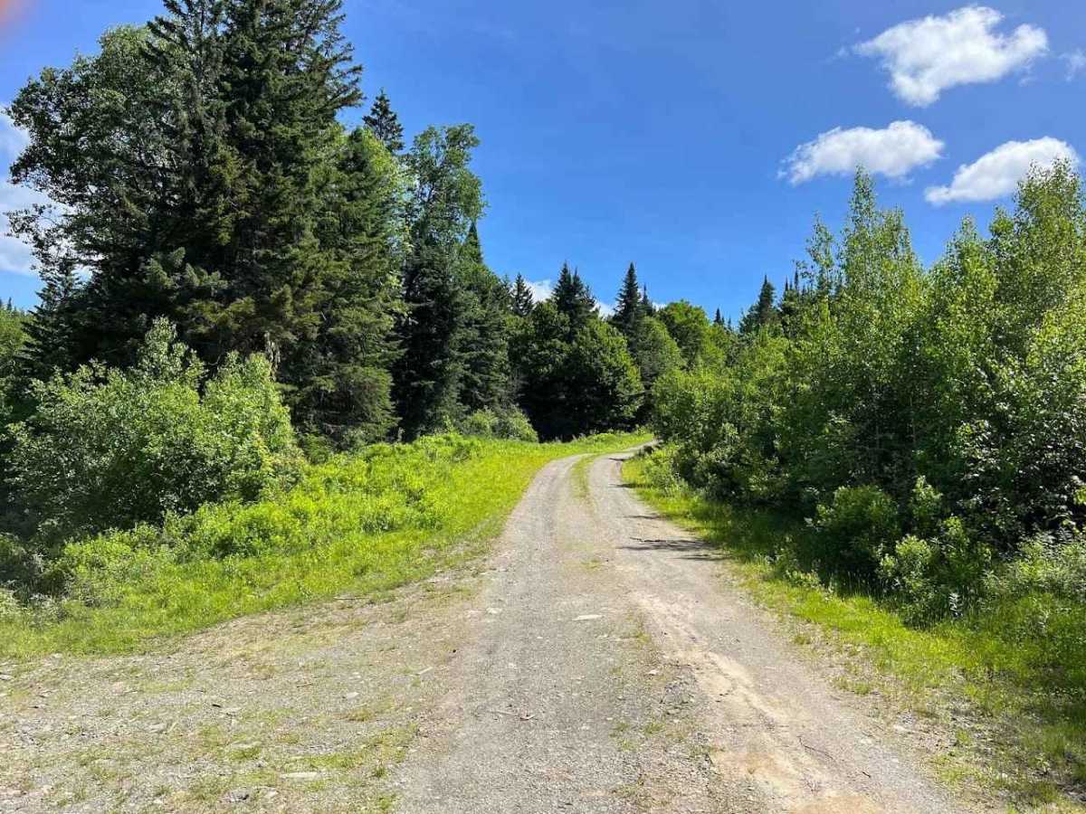 Indian Stream Road to Terrill Pond photo 6