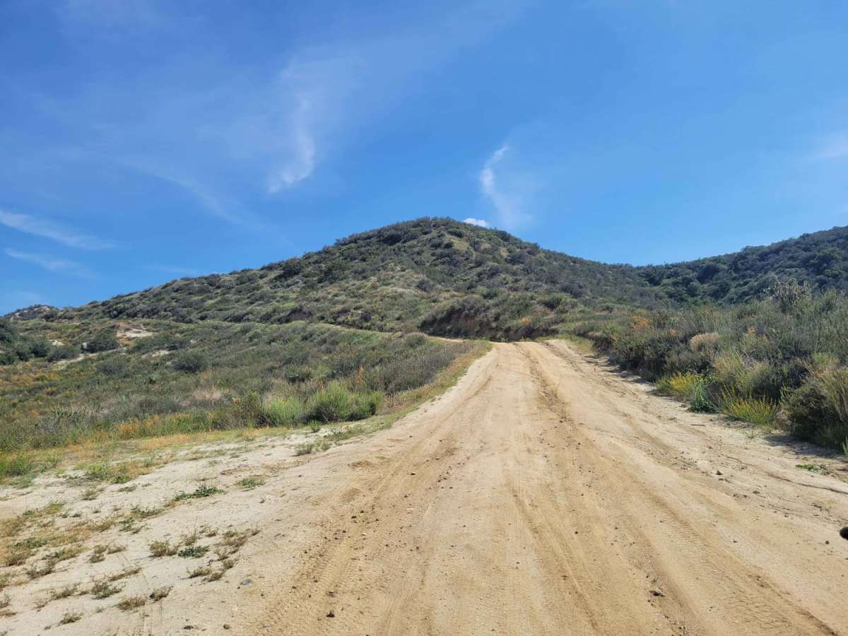 8S05 - North Palomar Mountain Road trail photo