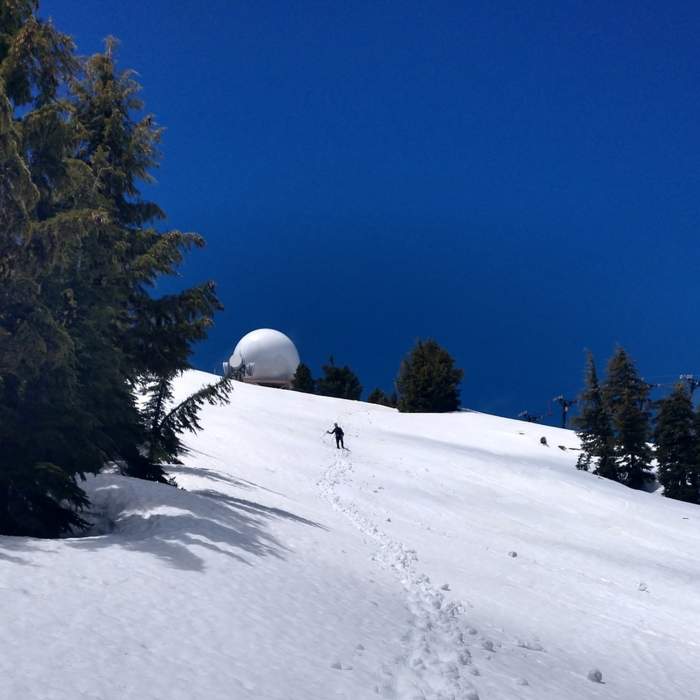 Near Mt. Ashland Summit Trail #51938