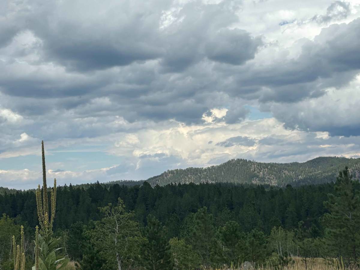 Lind Gulch photo 6