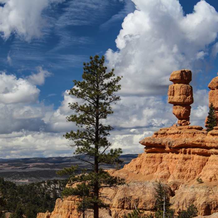 Rock formations that really look like people Near Pink Ledges Trail