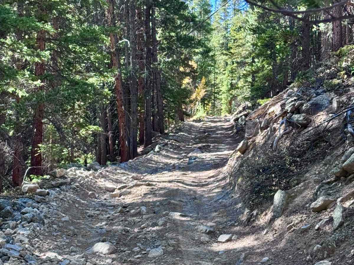 South Halfmoon Gulch/Iron Mike Mine photo 6