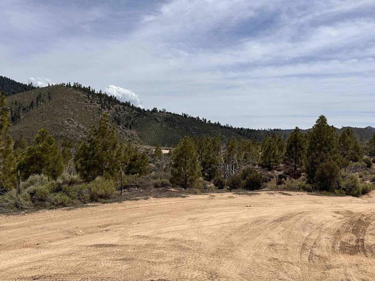 Saltbrush Trail photo 4