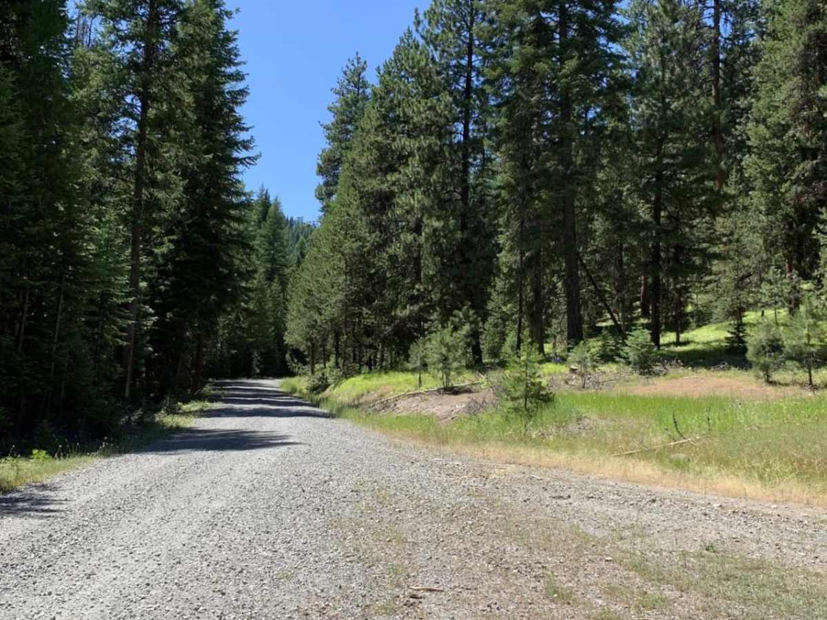 Cub Creek trail photo