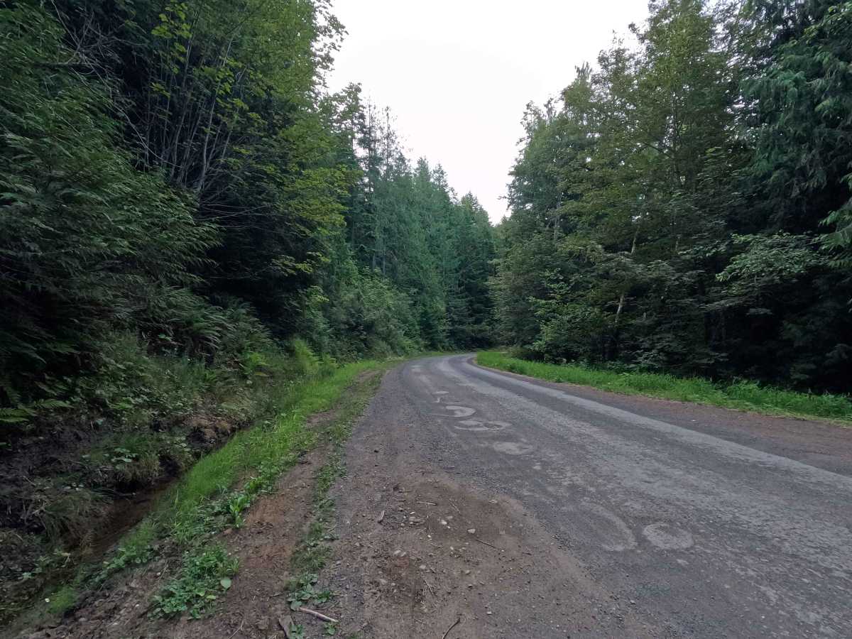 Little River Road photo 5