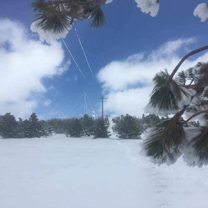 Winter on Pilot Hill. Near Pilot Hill Trail 4