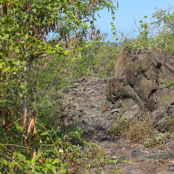 Near Pehehoni Point Near Pehehoni Point