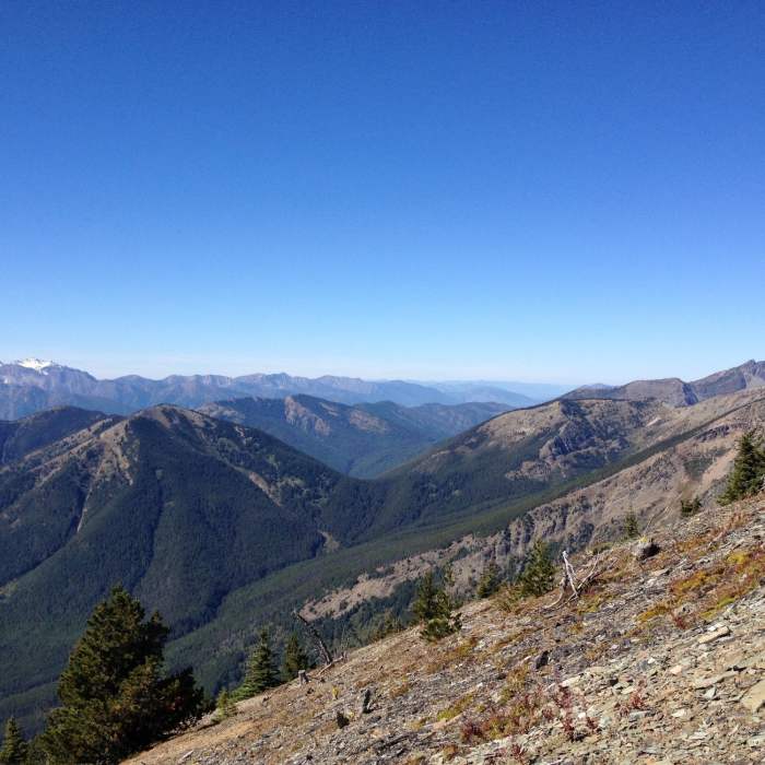 Near Elk Mountain
