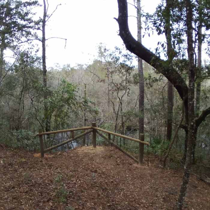 Scenic Overlook of North Fork of Black Creek - Pioneer Trail, Jennings State Forest Near Pioneer Trail