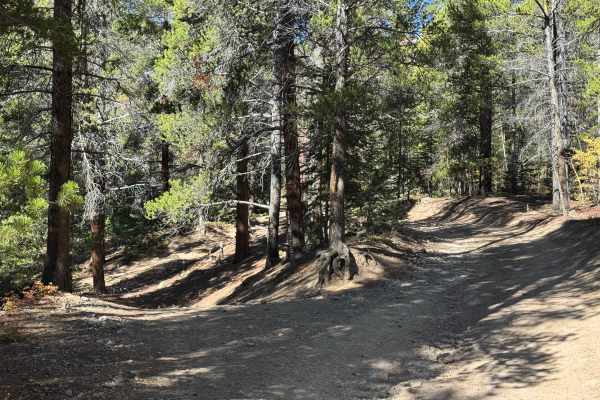 South Halfmoon Gulch/Iron Mike Mine