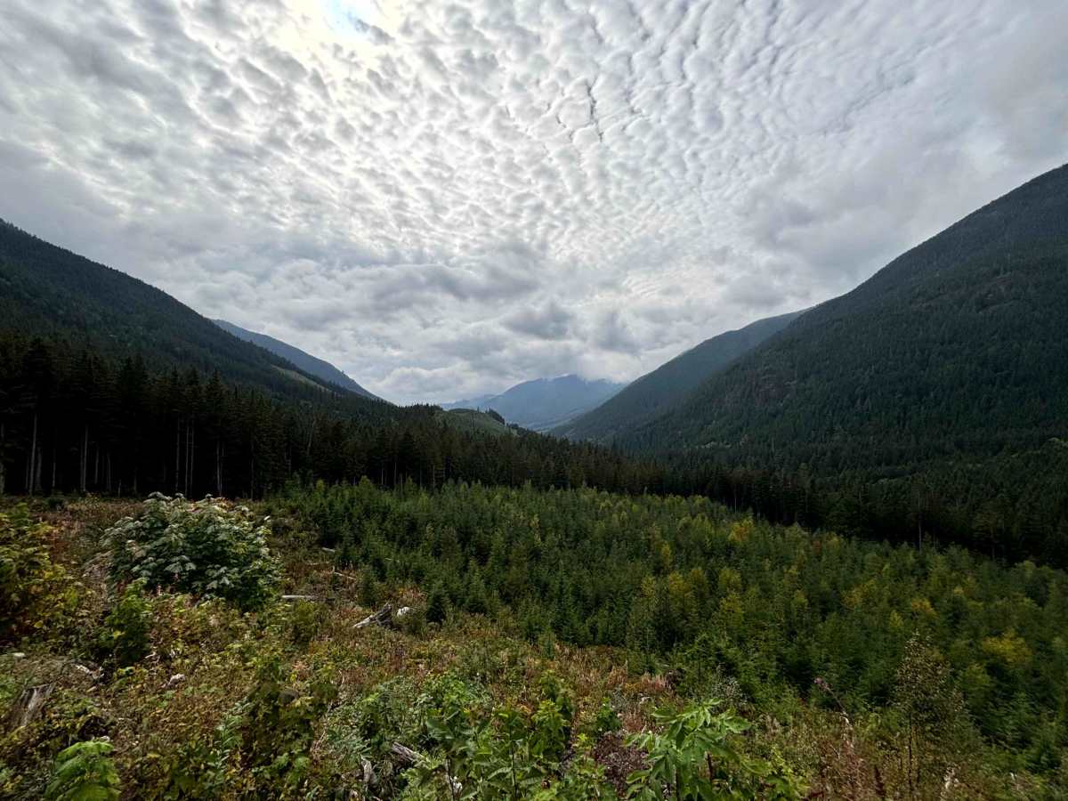 Norrish Creek photo 6