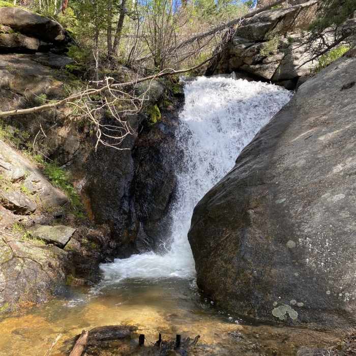 Near MacGregor Falls Trail