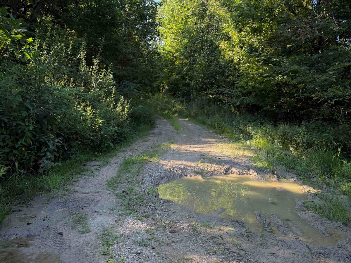 Hunter Access Pond Road  photo 6